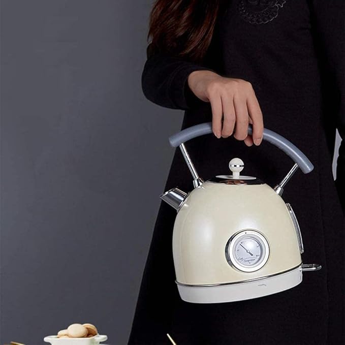 Electric Kettle with Thermometer