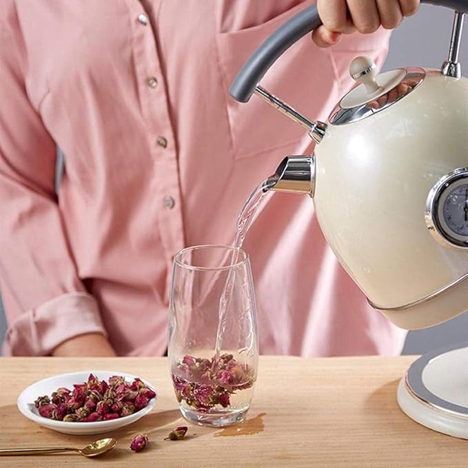 Electric Kettle with Thermometer